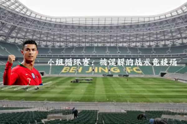小组循环赛：被误解的战术竞技场
